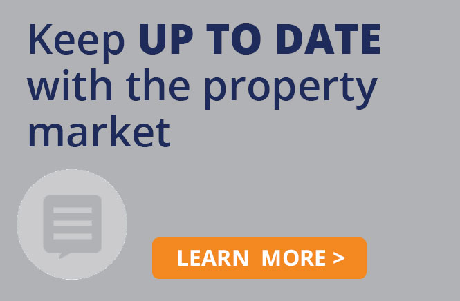 Blue Wealth Research Blog